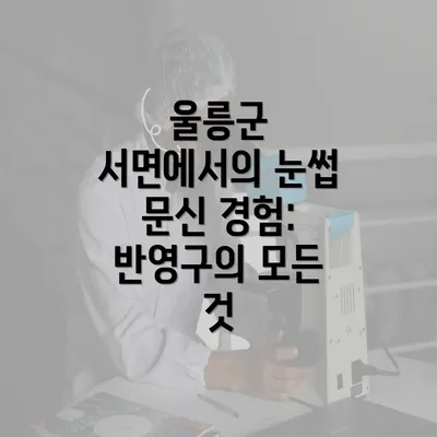 울릉군 서면에서의 눈썹 문신 경험: 반영구의 모든 것