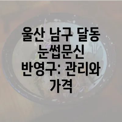 울산 남구 달동 눈썹문신 반영구: 관리와 가격