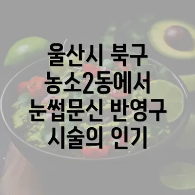 울산시 북구 농소2동에서 눈썹문신 반영구 시술의 인기