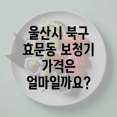 울산시 북구 효문동 보청기 가격 및 정보 완벽 가이드 2025