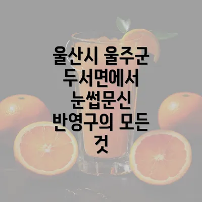 울산시 울주군 두서면에서 눈썹문신 반영구의 모든 것