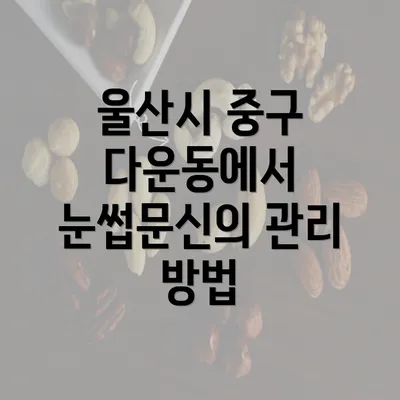 울산시 중구 다운동에서 눈썹문신의 관리 방법