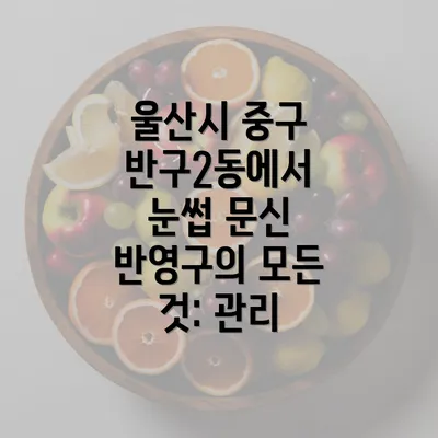 울산시 중구 반구2동에서 눈썹 문신 반영구의 모든 것: 관리