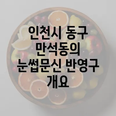 인천시 동구 만석동의 눈썹문신 반영구 개요