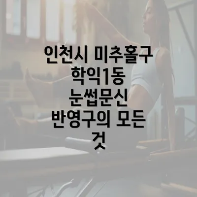 인천시 미추홀구 학익1동 눈썹문신 반영구의 모든 것