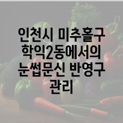 인천시 미추홀구 학익2동에서의 눈썹문신 반영구 관리