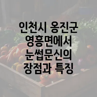 인천시 옹진군 영흥면에서 눈썹문신의 장점과 특징