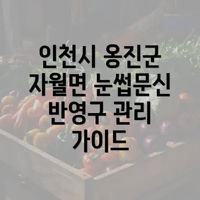 인천시 옹진군 자월면 눈썹문신 반영구 관리 가이드