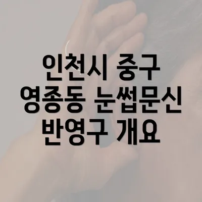 인천시 중구 영종동 눈썹문신 반영구 개요