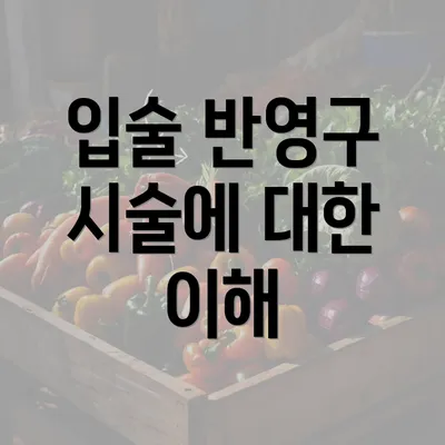 입술 반영구 시술에 대한 이해