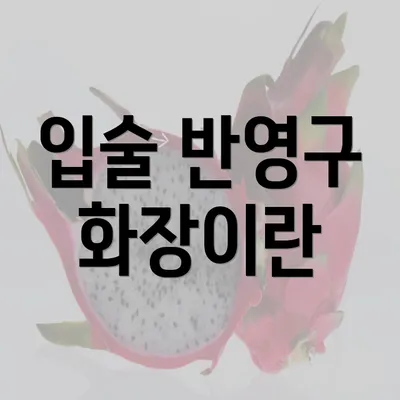 입술 반영구 화장이란