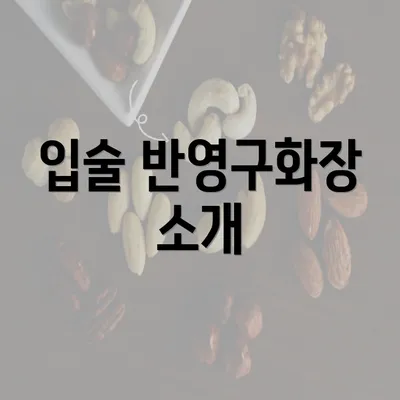 입술 반영구화장 소개