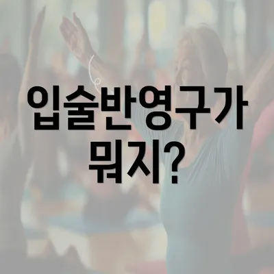 입술반영구가 뭐지?