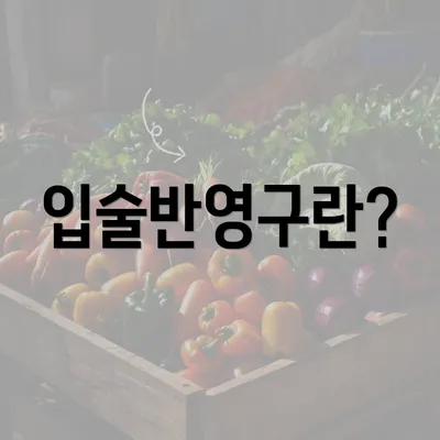 입술반영구란?