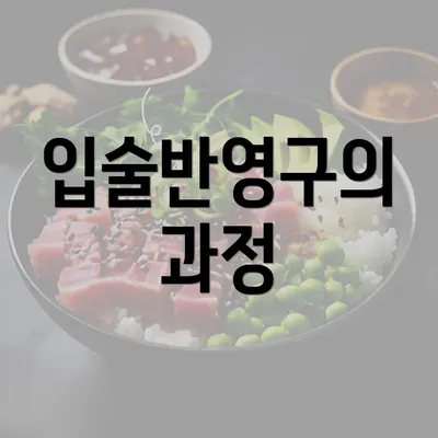 입술반영구의 과정