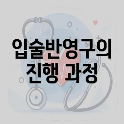 입술반영구의 진행 과정