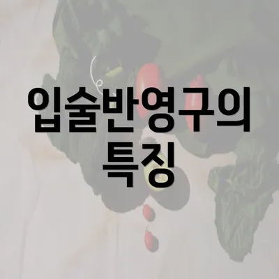 입술반영구의 특징