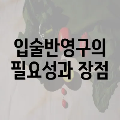 입술반영구의 필요성과 장점