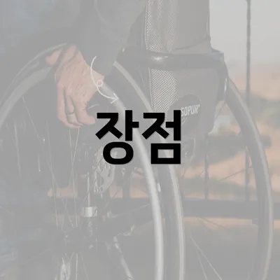 장점