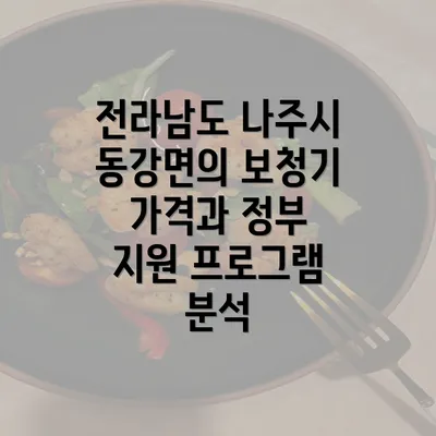 전라남도 나주시 동강면의 보청기 가격과 정부 지원 프로그램 분석