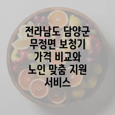 전라남도 담양군 무정면 보청기 가격 비교와 노인 맞춤 지원 서비스