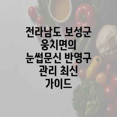 전라남도 보성군 웅치면의 눈썹문신 반영구 관리 최신 가이드