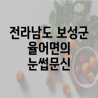 전라남도 보성군 율어면의 눈썹문신