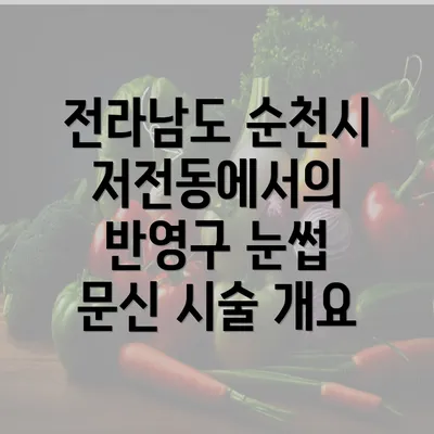 전라남도 순천시 저전동에서의 반영구 눈썹 문신 시술 개요