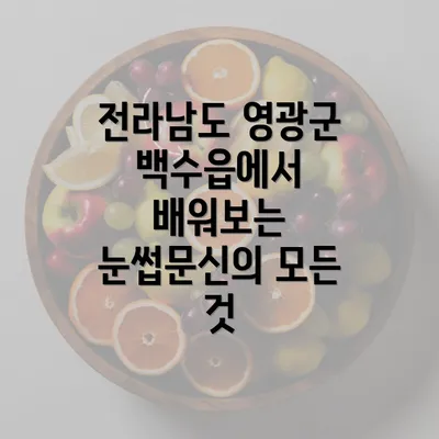 전라남도 영광군 백수읍에서 배워보는 눈썹문신의 모든 것