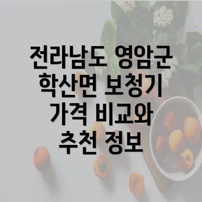 전라남도 영암군 학산면 보청기 가격 비교와 추천 정보