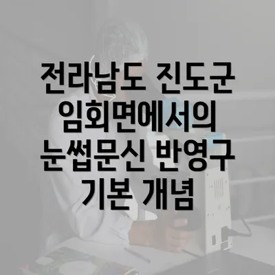 전라남도 진도군 임회면에서의 눈썹문신 반영구 기본 개념