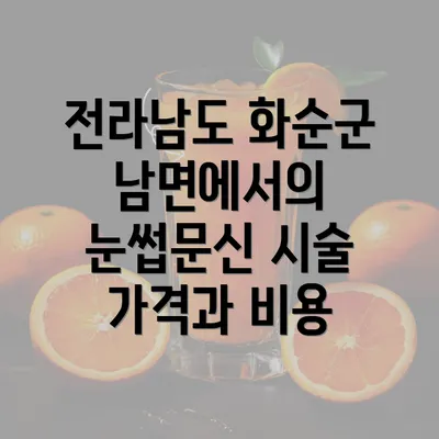 전라남도 화순군 남면에서의 눈썹문신 시술 가격과 비용