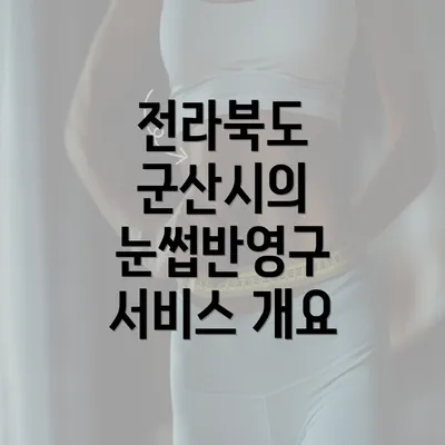 전라북도 군산시의 눈썹반영구 서비스 개요