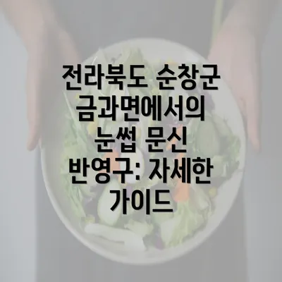 전라북도 순창군 금과면에서의 눈썹 문신 반영구: 자세한 가이드