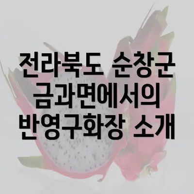 전라북도 순창군 금과면에서의 반영구화장 소개