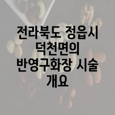 전라북도 정읍시 덕천면의 반영구화장 시술 개요