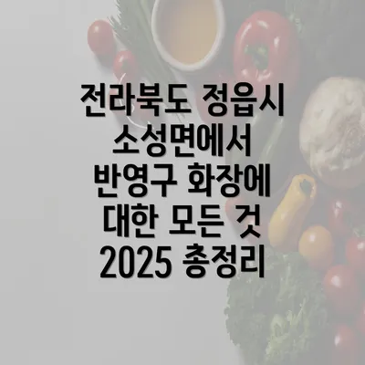 전라북도 정읍시 소성면에서 반영구 화장 개요