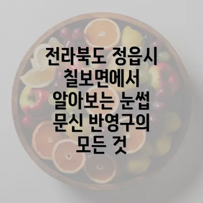 전라북도 정읍시 칠보면에서 알아보는 눈썹 문신 반영구의 모든 것