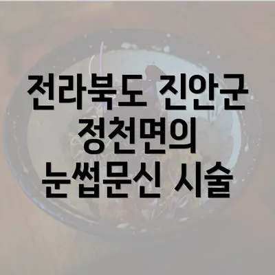 전라북도 진안군 정천면의 눈썹문신 시술