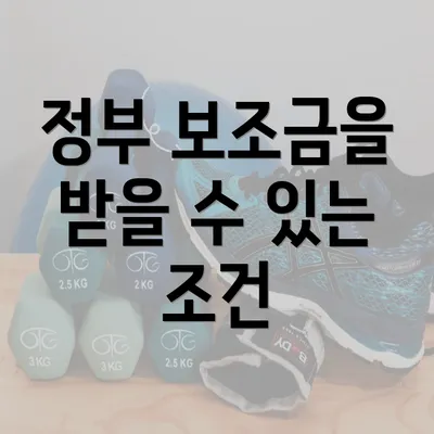 정부 보조금을 받을 수 있는 조건