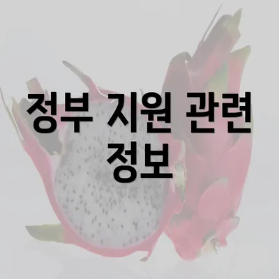 정부 지원 관련 정보