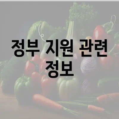 정부 지원 관련 정보