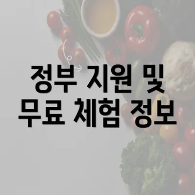 정부 지원 및 무료 체험 정보