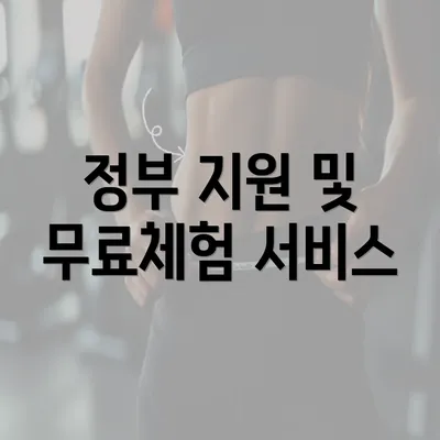 정부 지원 및 무료체험 서비스