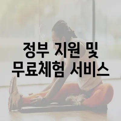 정부 지원 및 무료체험 서비스