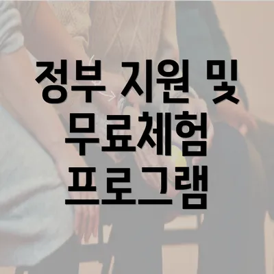 정부 지원 및 무료체험 프로그램