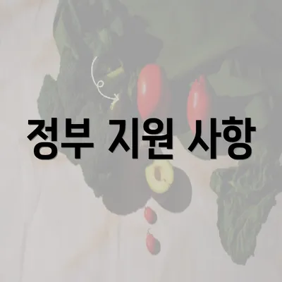 정부 지원 사항