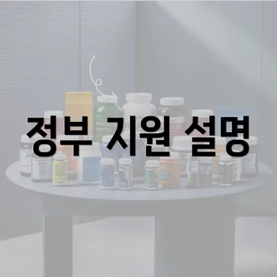 정부 지원 설명