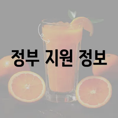 정부 지원 정보