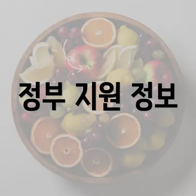 정부 지원 정보